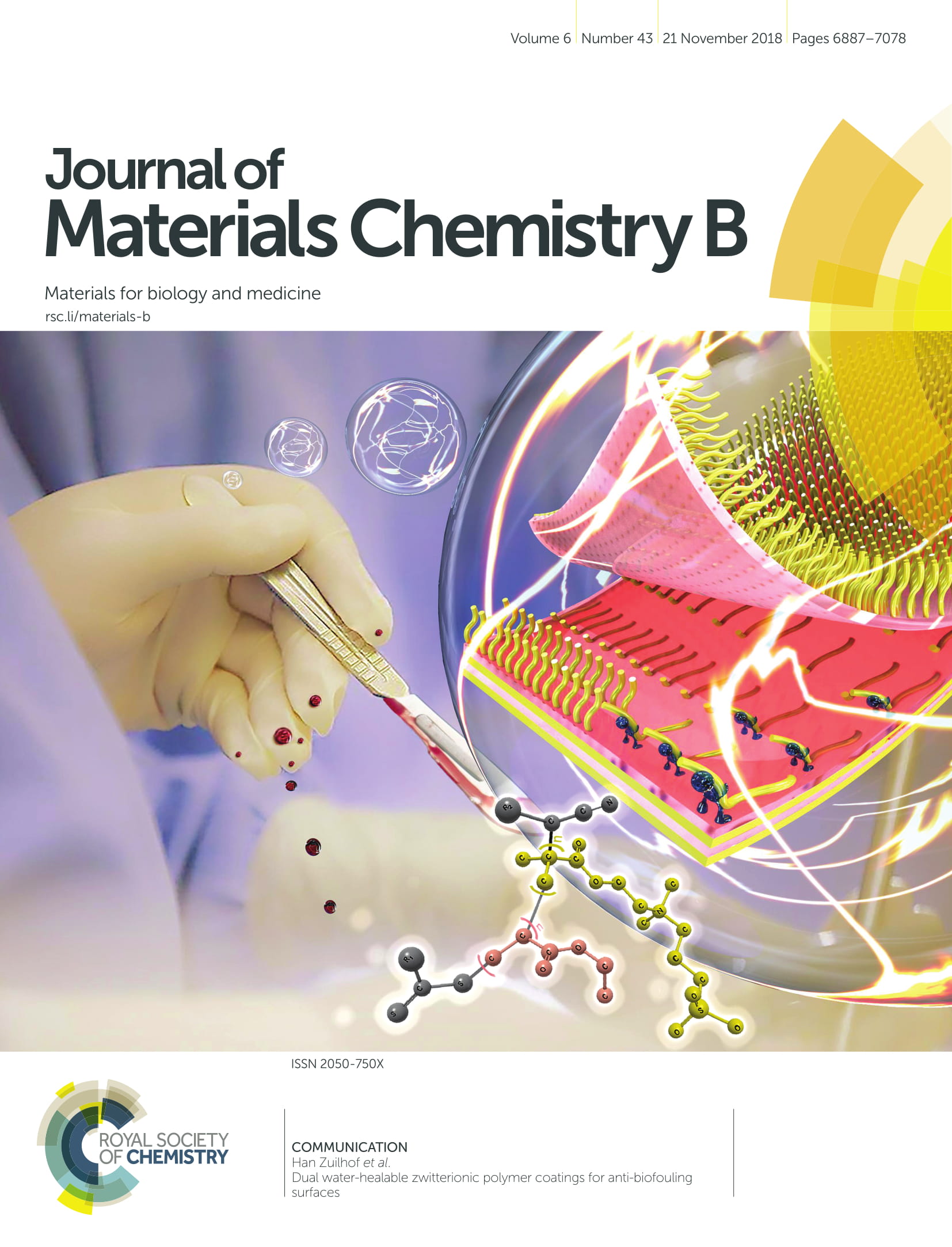 Work Wang And Zuilhof On Front Cover Journal Of Materials Chemistry B - WUR